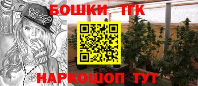 spice Севастополь