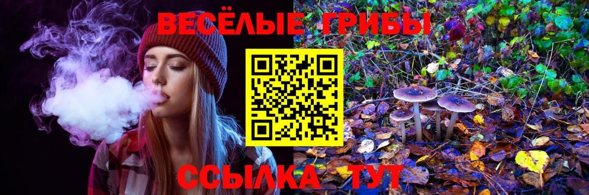 Псилоцибиновые грибы мицелий Обь