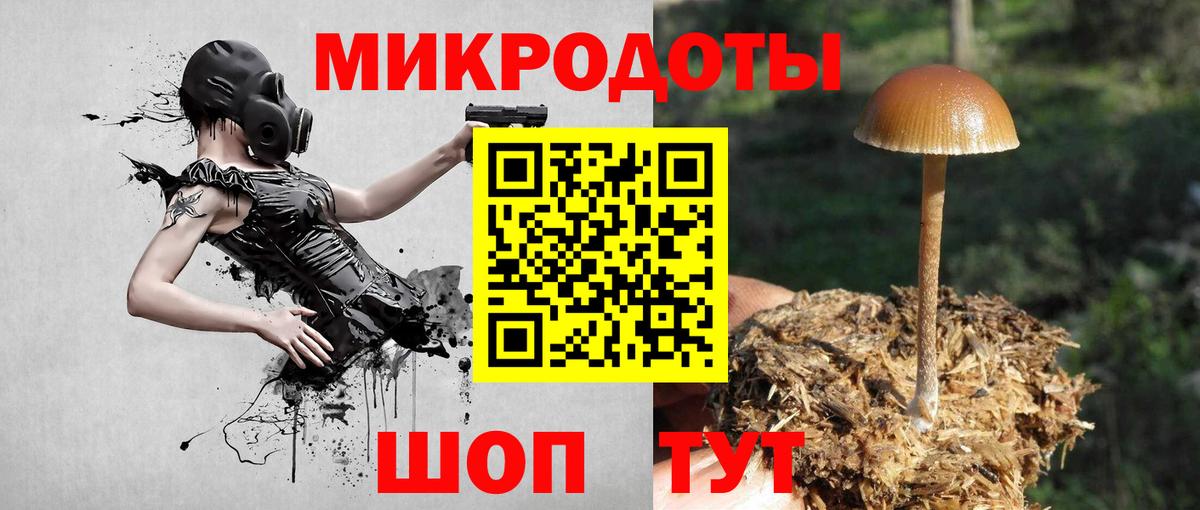 Обь  Галлюциногенные грибы Psilocybine cubensis  Вход с VPN 